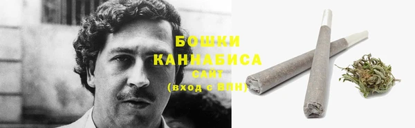 mdpv Белокуриха