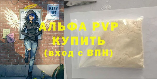 индика Верея