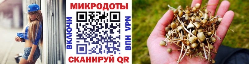 Галлюциногенные грибы мухоморы  Воскресенск 